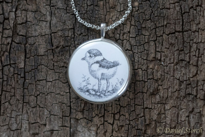 flussregenpfeifer-gezeichnet-schmuck-geschenk-fuer-ornithologe